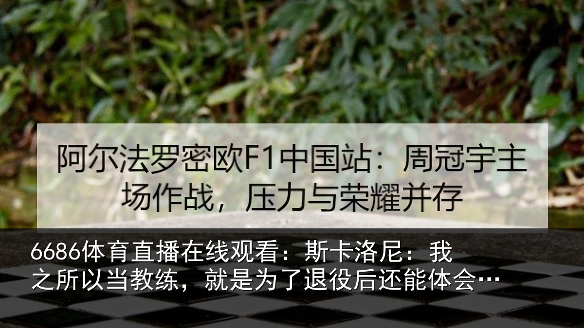 6686体育直播在线观看:斯卡相关情况练就相关情况体会这种情绪
