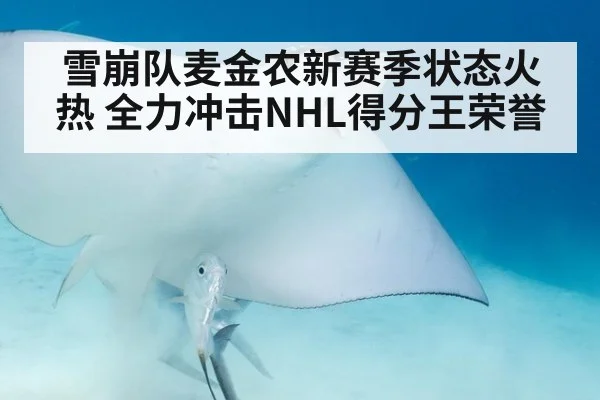 雪崩队麦金农新赛季状态火热 全力冲击NHL得分王荣誉