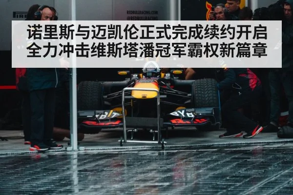 Max Verstappen Red Bull racing